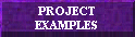 PROJECT EXAMPLES